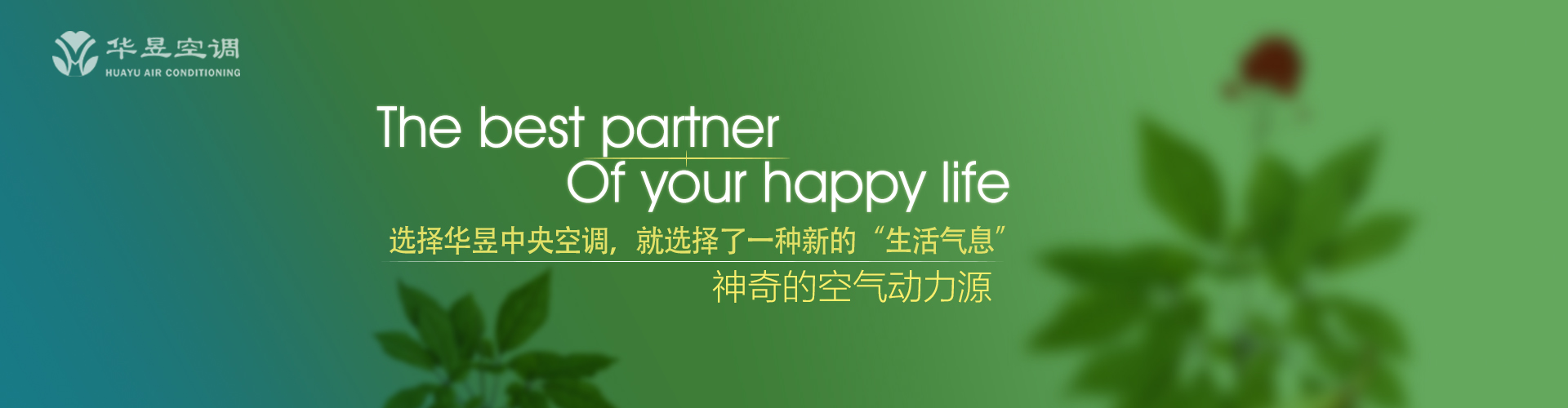 含辛茹苦网